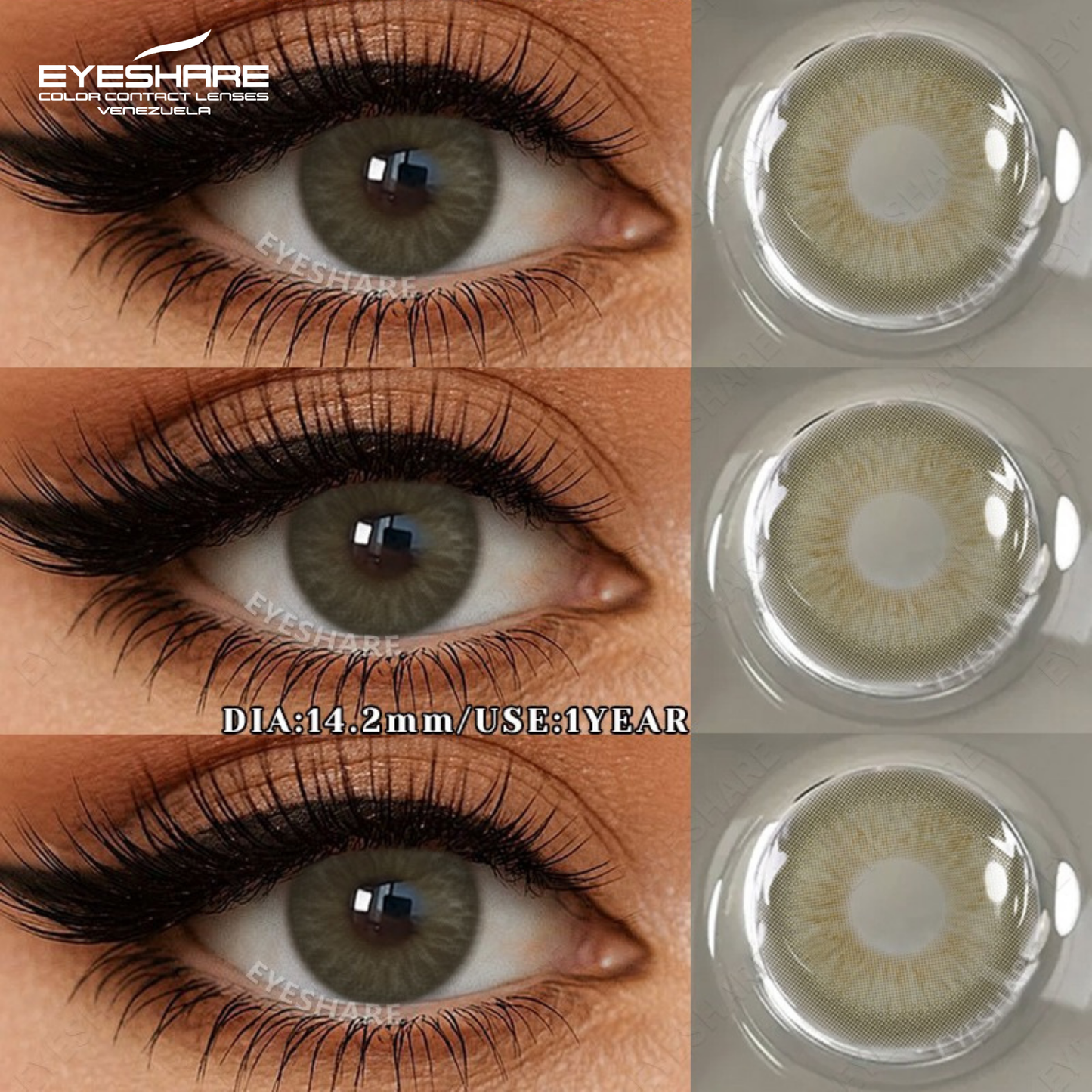 CASABLANCA GREEN 14.2MM