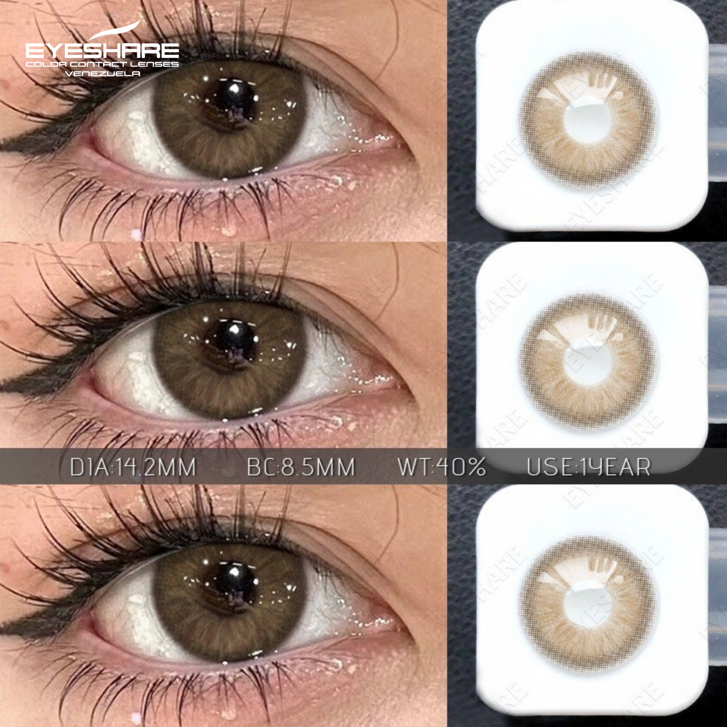 CASABLANCA BROWN 14.2MM