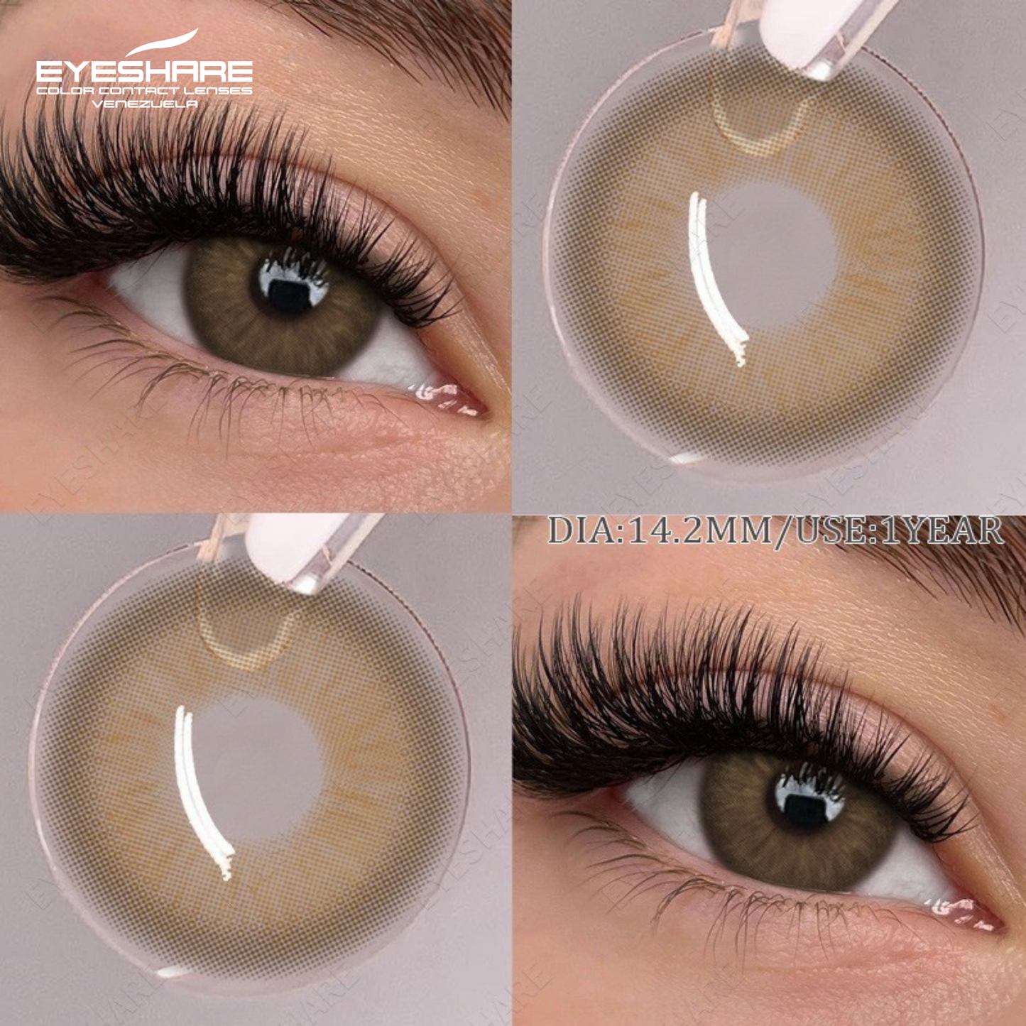 CASABLANCA BROWN 14.2MM