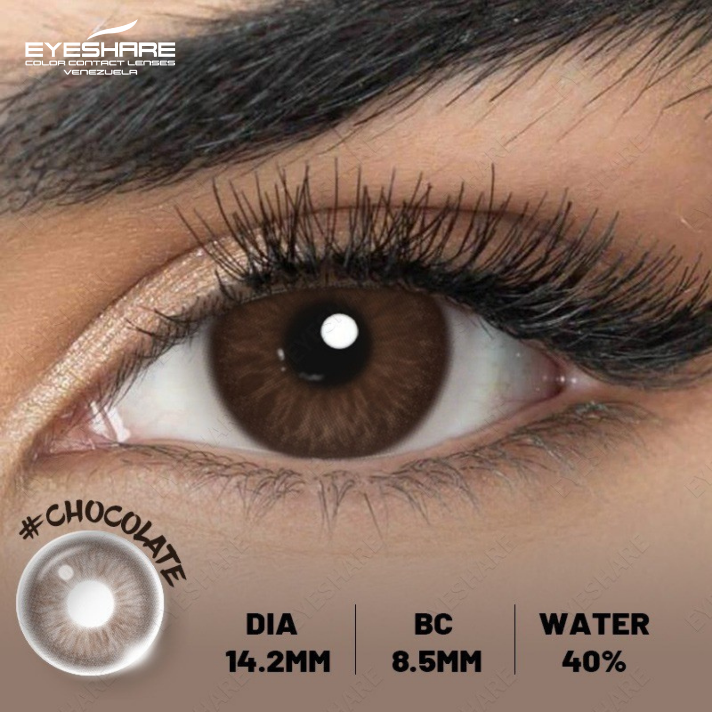 CASABLANCA CHOCOLATE 14.2MM