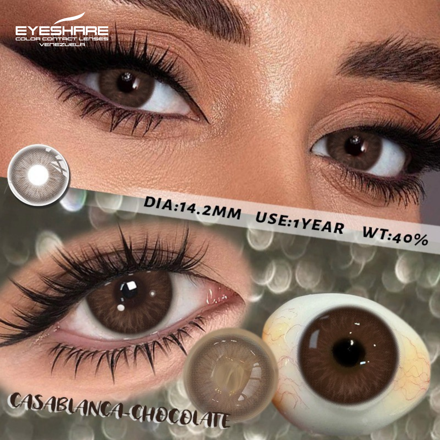 CASABLANCA CHOCOLATE 14.2MM