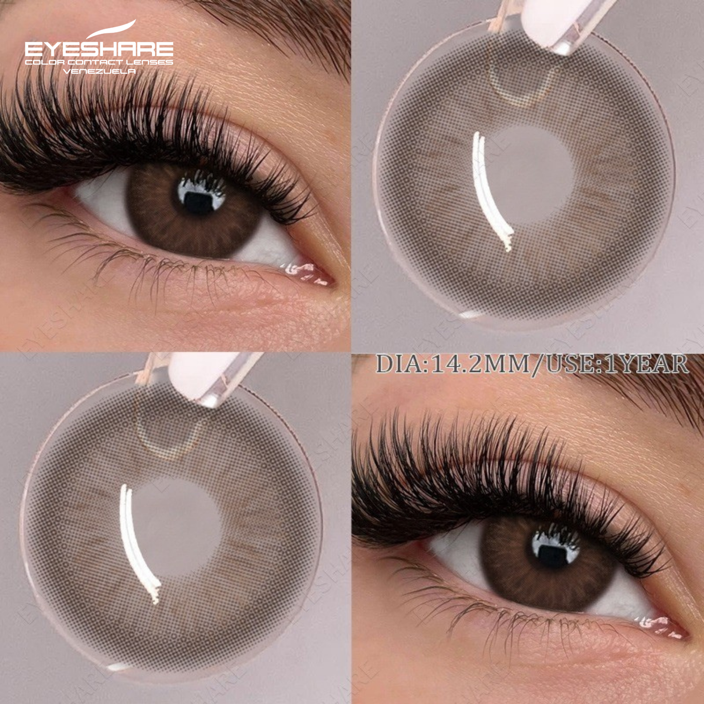 CASABLANCA CHOCOLATE 14.2MM