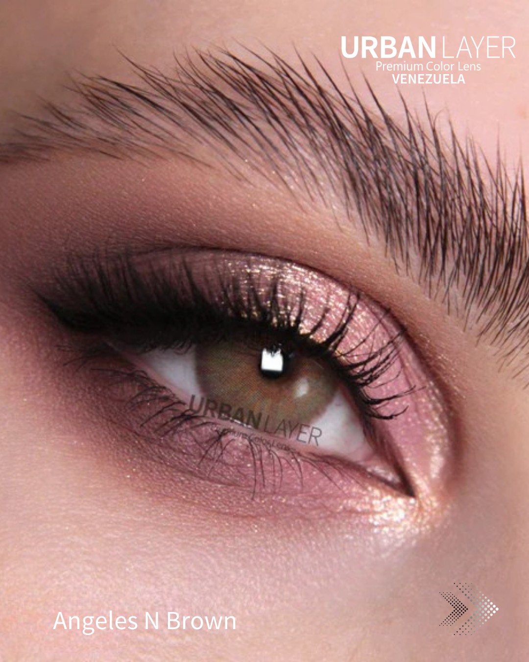 ANGELES N BROWN FORMULADOS