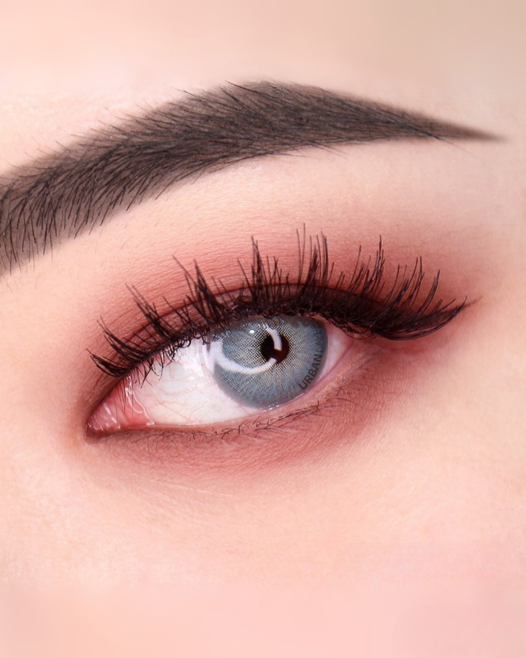 CHELSEA GRAY FORMULADOS