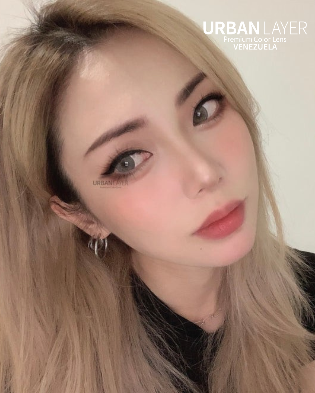 ORLANDO N GRAY FORMULADOS